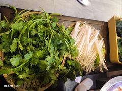-由衷贵州酸汤牛肉火锅(新桥店)
