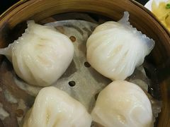 -添运来(茶园奥园广场店)
