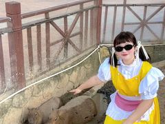 -灵玲国际马戏城