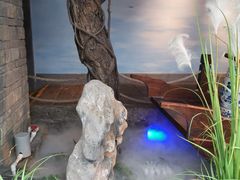 -绿茶餐厅(领展购物广场·中关村店)