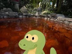 -中家鑫园温泉酒店鑫悦汤泉