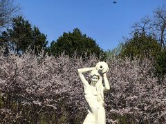 -丰台花园