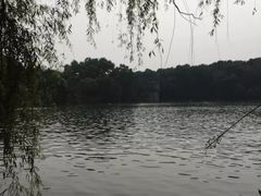 -紫金山索道-售票处