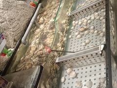 -陆小年创意自助料理(宿迁吾悦店)