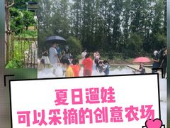 -前小桔亲子创意农场·草莓采摘·露营烧烤