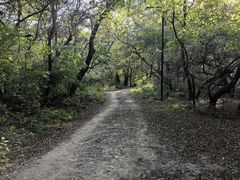 -北陵公园