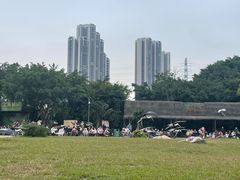 -广州长隆飞鸟乐园