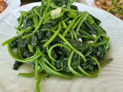 -兴隆槟榔园休闲农庄