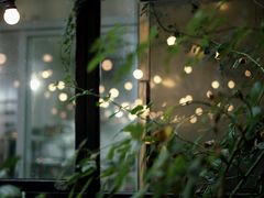 -秘密小花园(第三中学店)