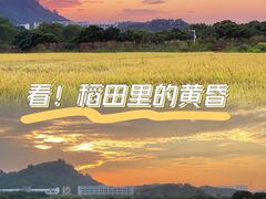 -光明小镇欢乐田园