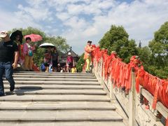 -东方大寿星园