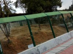 -泉州海丝野生动物世界