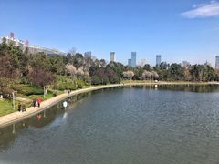 -天鹅湖体育公园