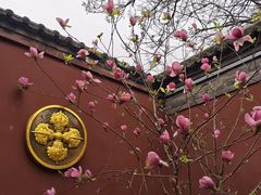 -西安市广仁寺