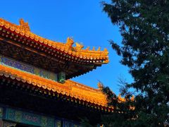 -历代帝王庙博物馆