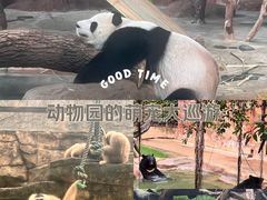 -南宁市动物园