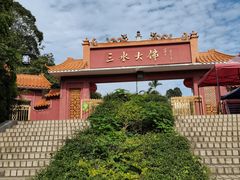 -三水森林公园