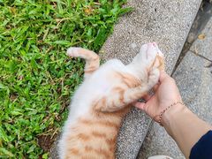 -十九路军淞沪抗日阵亡将士陵园