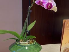 -聚福宝合苑食府(南头镇店)