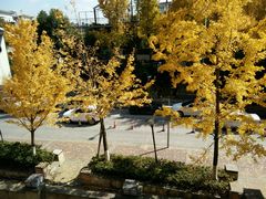 -黔蘑菇四季餐厅(观山湖店)