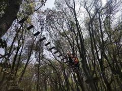 -WeLope紫金山探险公园