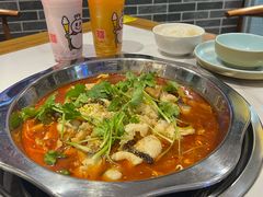 -川囧肥肠鸡·美蛙鱼锅(平高广场店)
