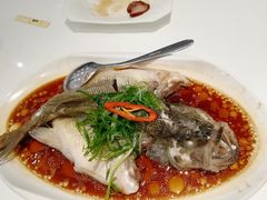-至潮餐厅精致粤菜·活鲈鱼·走地鸡(珠江新城店)