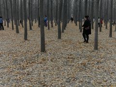 -汉景帝阳陵博物院