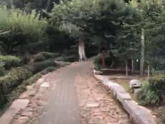 -雨花胜境