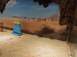 -卡通尼·Safari非洲探索乐园·生日会(金桥国际商业广场店)