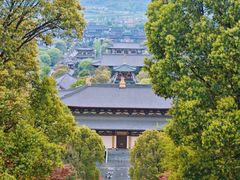 -庐山风景名胜区-东林大佛
