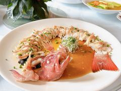 -锦江宾馆-花园餐厅