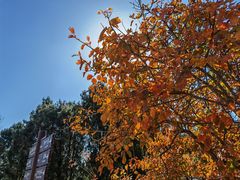 -北京西山国家森林公园