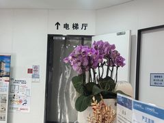 -杭州口腔医院(城西院区)
