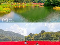 -广州市石门国家森林公园