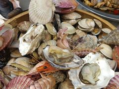 -船梆煮•蒸汽海鲜·炉火烤肉(五四广场店)