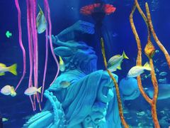 -沈阳海洋探索中心