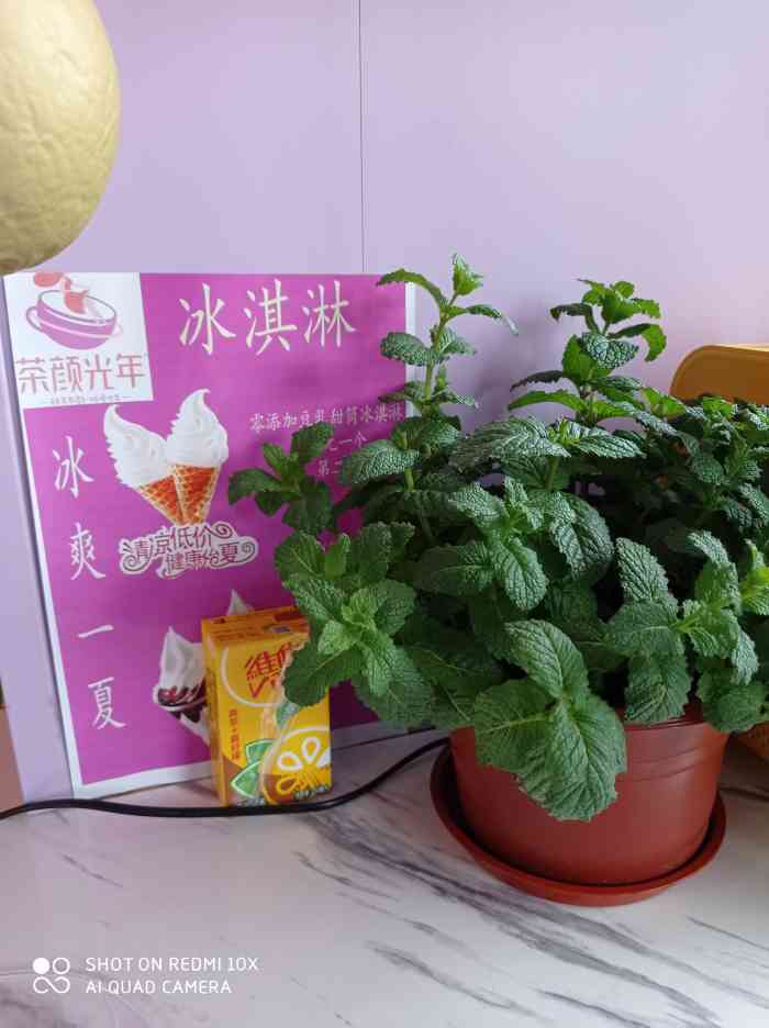 茶颜光年-"今天路过新开的饮料04店哦[调皮]第一."-大众点评移动版