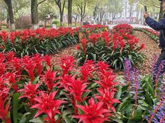-上海鲜花港