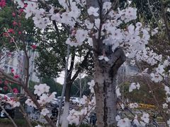 -公益图书馆(江南大学店)