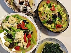 -优护优家Ucare月嫂育儿嫂陪伴师(静安店)