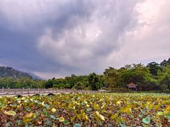 -星湖旅游景区七星岩
