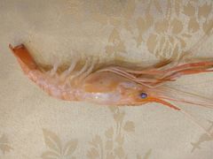 -潮喜竹溪荔湖酒家(荔枝湾店)