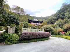 -十八棵（老龙井）御茶园(老龙井店)