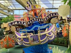 -南宫五洲植物乐园