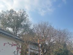 -西湖风景区十里琅珰-五云山