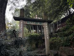 -西泠印社