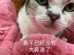 -关爱动物医院·心脏·中兽医·异宠(金牛路分院)