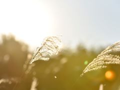 -山王坪喀斯特国家生态公园