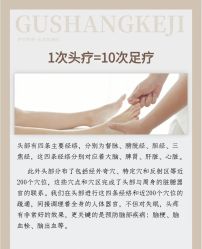 -Bollins波林丝•专研护发中心